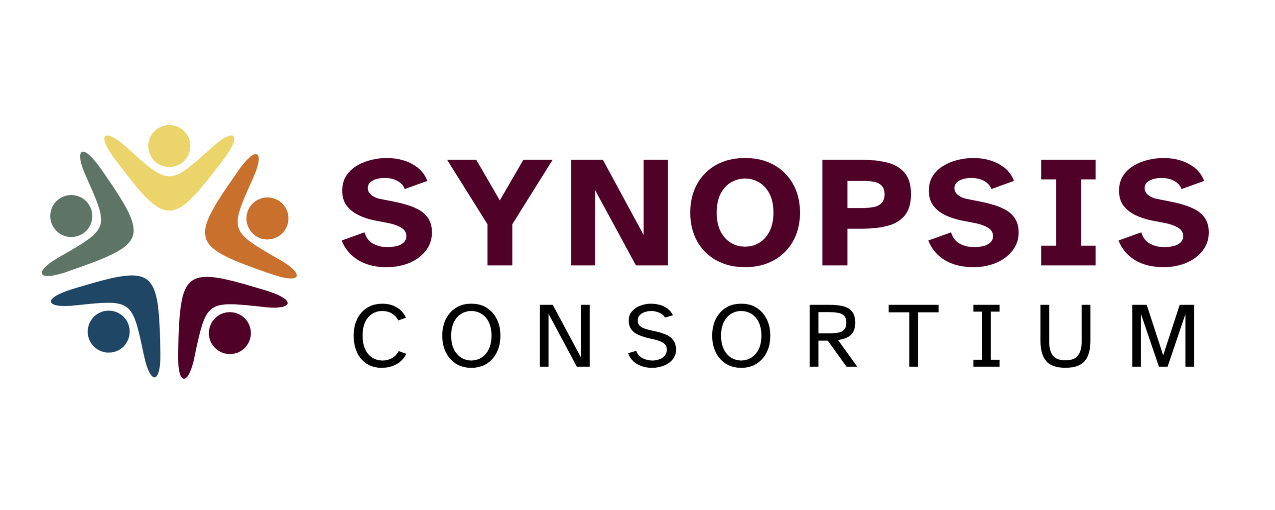 Synopsis Consortium